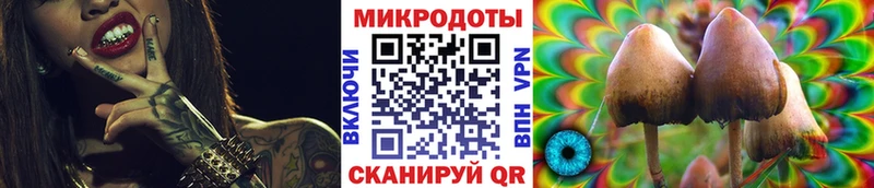 Галлюциногенные грибы Cubensis  Озёры 